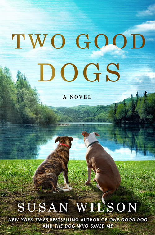 the dog who danced by susan wilson the dog who danced by susan wilson